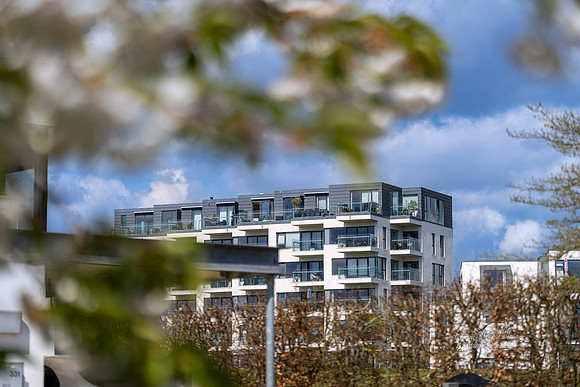 Skanderborg Bakker-web -fotograf Per Bille-20250426AAA01815