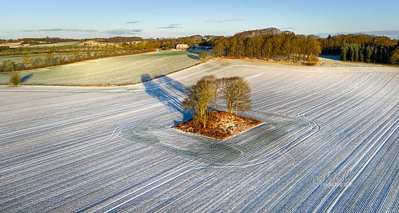 Tulstrup - Vinter-web-Fotograf Per Bille 20260103-DJI_20260103100550_0027_D