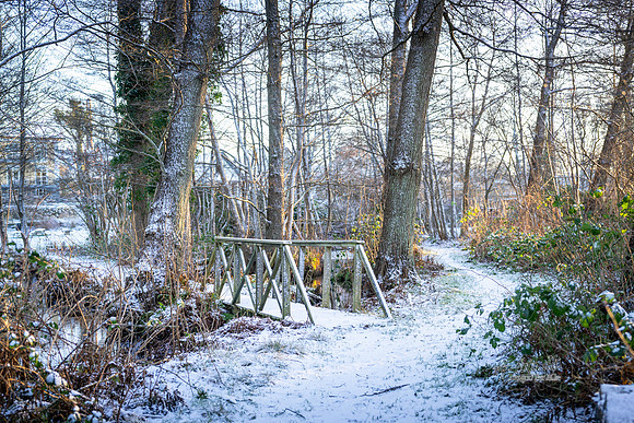 Vinter Ry-web-Fotograf Per Bille-20250103AAA05982