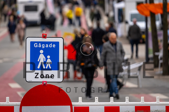 LYS NAT-web - Fotograf_Per_Bille-20230428DSC03517