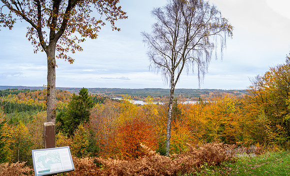 Store Knøs-print-Fotograf Per Bille 20251028-AAA05049-Pano