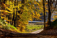 Efterår - Ravnsø-print-Fotograf Per Bille-20241102DSC03696
