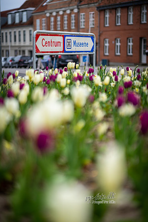 LYS NAT-print - Fotograf_Per_Bille-20230428DSC03596