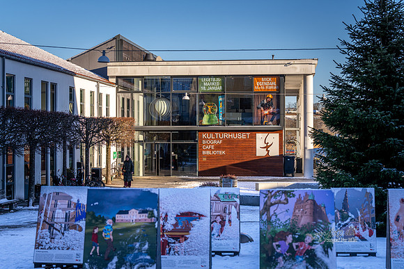 Vinter Skanderborg-web-Fotograf Per Bille-20250103AAA06277