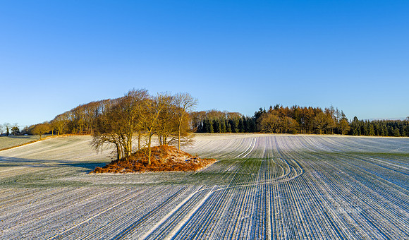 Tulstrup - Vinter-web-Fotograf Per Bille 20260103-DJI_20260103100454_0022_D
