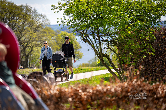 Skanderborg Bakker-web -fotograf Per Bille-20250426AAA01809