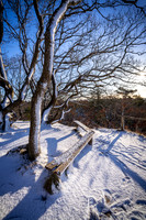 Vinter Galjebakken-print-Fotograf Per Bille-20250103AAA06113