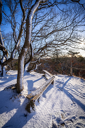 Vinter Galjebakken-print-Fotograf Per Bille-20250103AAA06113