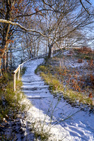 Vinter Galjebakken-web-Fotograf Per Bille-20250103AAA06109