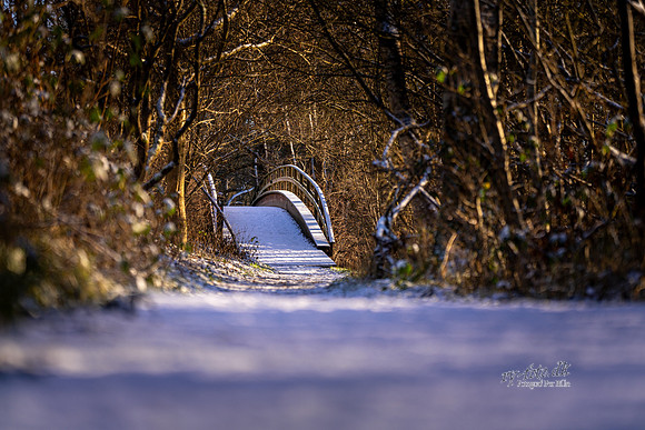 Vinter Himmelbjergruten-web-Fotograf Per Bille-20250103AAA06226
