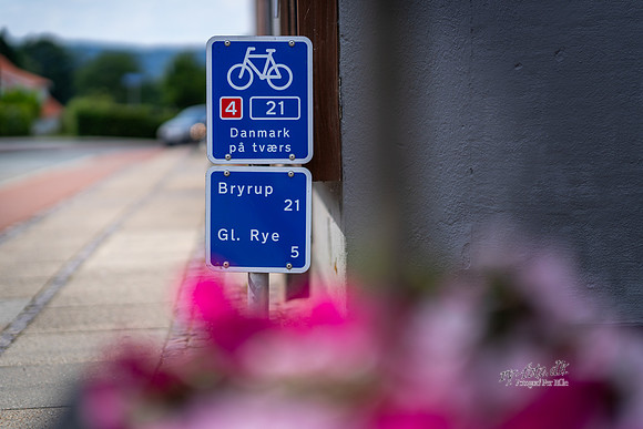 Ry-web - Fotograf Per Bille-20250717-AAA00872