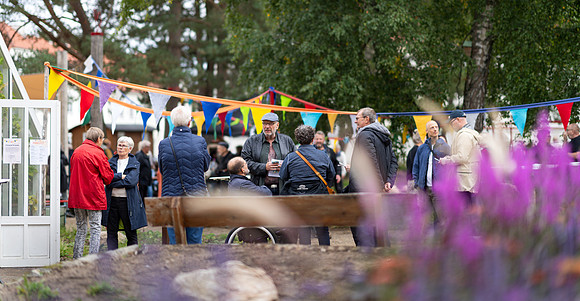 Flok-Web-Fotograf Per Bille-20260911AAA09632