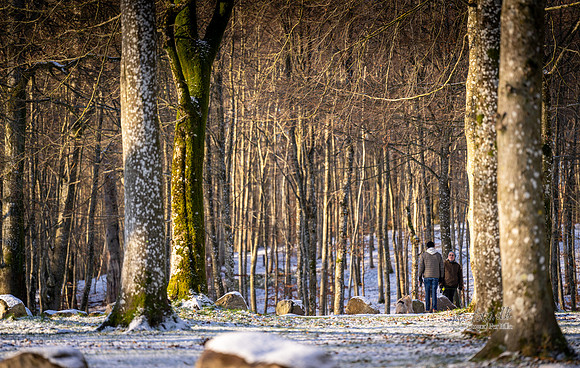 Vinter Skanderborg-print-Fotograf Per Bille-20250103AAA06308