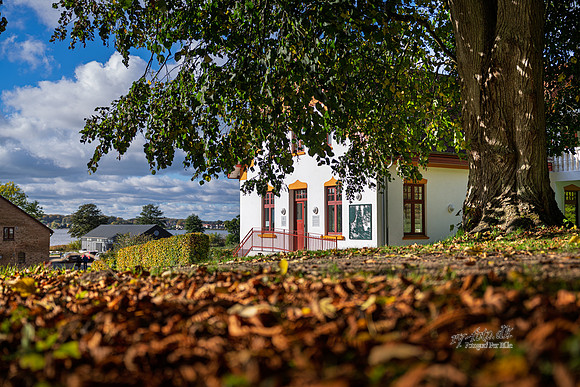 Vester Mølle-web- Fotograf Per Bille-20261017-AAA03547