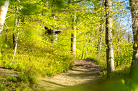 Khynsminde - Ry-web -fotograf Per Bille-20250424AAA01318