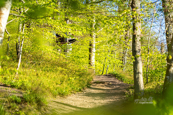 Khynsminde - Ry-web -fotograf Per Bille-20250424AAA01318