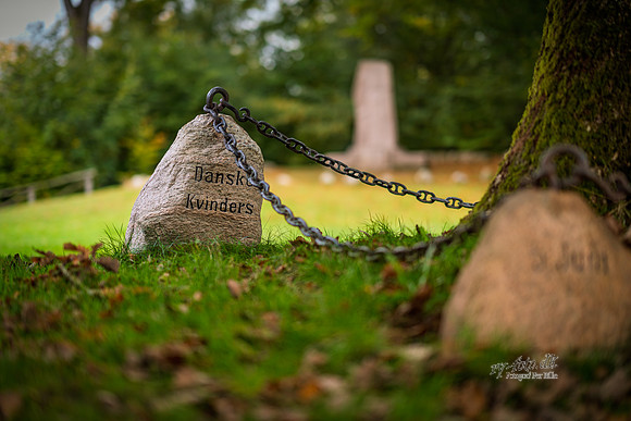 Himmelbjerg-web- Fotograf Per Bille-20261017-AAA03555