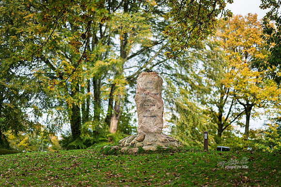 Himmelbjerg-web- Fotograf Per Bille-20261017-AAA03551