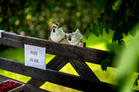 Boes-web - Fotograf Per Bille-20250717-AAA00955