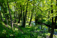Jeksen Dal-print-fotograf Per Bille-20250512_DSF1481