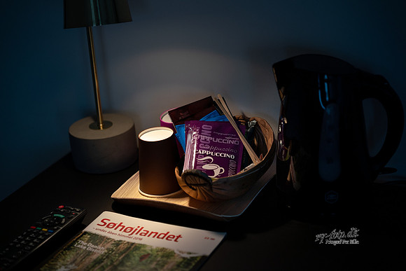 Hotelæ Ry - web - fotograf Per Bille -20190129-03185