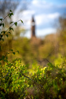 Himmelbjerget-web -fotograf Per Bille-20250424AAA01340