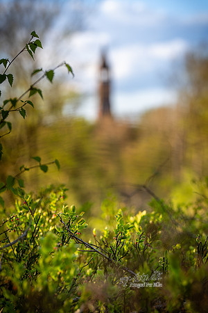 Himmelbjerget-web -fotograf Per Bille-20250424AAA01340