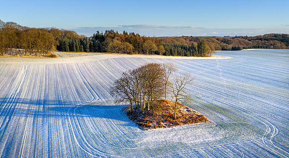Tulstrup - Vinter-web-Fotograf Per Bille 20260103-DJI_20260103100906_0048_D