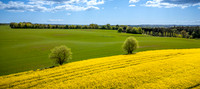 Rapsmark-web-fotograf Per Bille-20250505DJI_0475