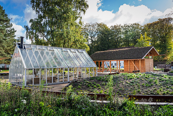 Flok-web- Fotograf Per Bille-20261017-AAA03446