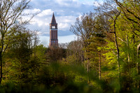 Himmelbjerget-web -fotograf Per Bille-20250424AAA01334