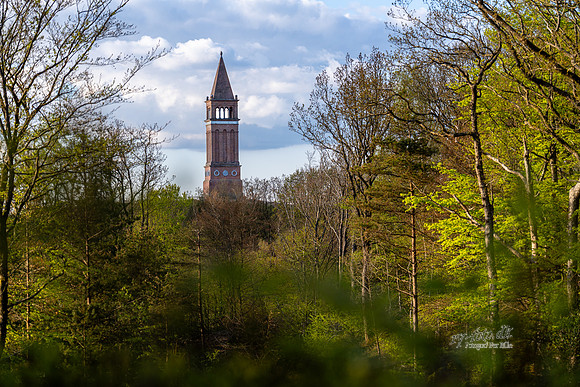 Himmelbjerget-web -fotograf Per Bille-20250424AAA01334