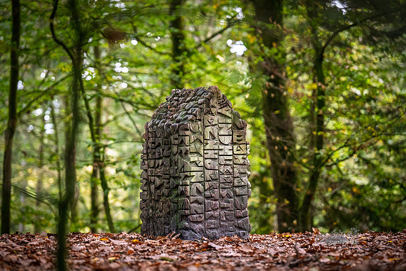 Himmelbjerg-web- Fotograf Per Bille-20261017-AAA03593