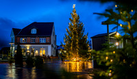 Jul i Ry-web-Fotograf Per Bille-20241222AAA05850