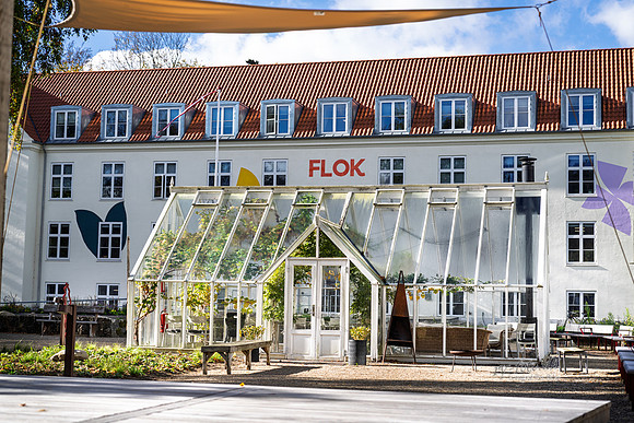 Flok-web- Fotograf Per Bille-20261017-AAA03413