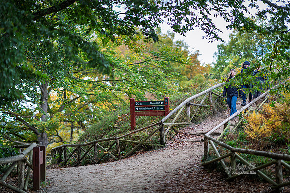 Himmelbjerg-web- Fotograf Per Bille-20261017-AAA03575