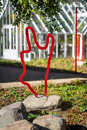 Flok-web- Fotograf Per Bille-20261017-AAA03454