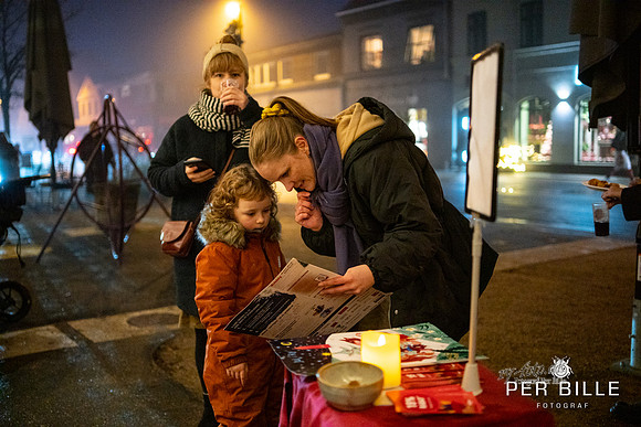 Juletræstænding Ry-web -Fotograf_Per_Bille-20221126DSC07025
