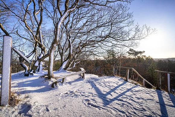 Vinter Galjebakken-web-Fotograf Per Bille-20250103AAA06114