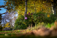 Efterår - Knudsø skolen-print-Fotograf Per Bille-20241102DSC03674