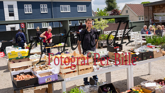 sommermarked-20150606-9880-2