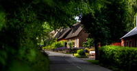Boes-web - Fotograf Per Bille-20250717-AAA00951