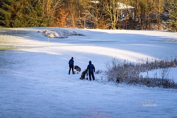 Vinter Golf-print-Fotograf Per Bille-20250103AAA06003