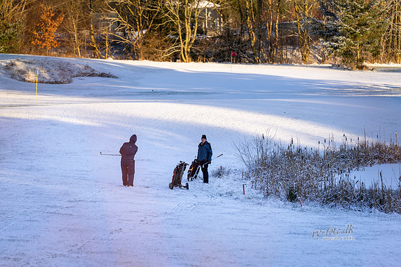 Vinter Golf-web-Fotograf Per Bille-20250103AAA06006
