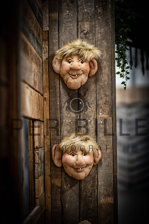 Silkeborg Forsyning-web - Fotograf_Per_Bille-20230524DSC02486-Edit