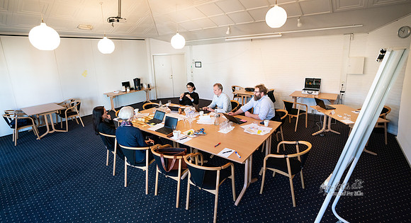 Hotelæ Ry - web - fotograf Per Bille -20190129-02933