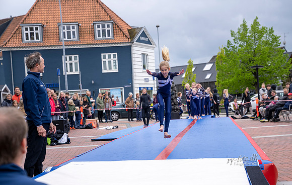 Ry - print - Fotograf Per Bille-20210522-DSC05035