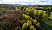Langebakke - Ry-web -fotograf Per Bille-20250424DJI_0339