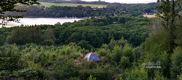 SKOV VED KILDEBJERG- print - Fotograf Per Bille-20200730-DSC01792-Pano