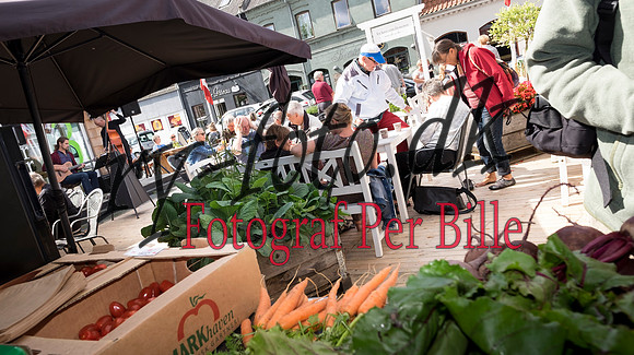Sommermarked -20150801-3050